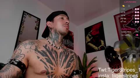 Snapshot of tigerstripes_ chatting on March 24, 2:55 pm Chris online show from March 24, 2:55 pm
