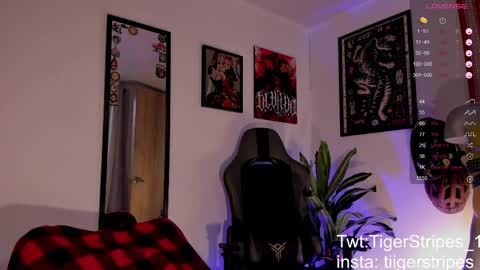 Snapshot of tigerstripes_ chatting on March 25, 12:55 pm Chris online show from March 25, 12:55 pm