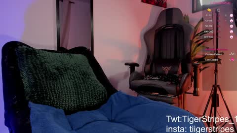 Snapshot of tigerstripes_ chatting on March 28, 11:32 am Chris online show from March 28, 11:32 am