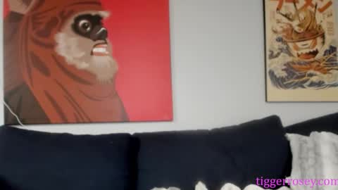 Snapshot of tiggerrosey chatting on November 19, 7:25 pm All my Links online show from November 19, 7:25 pm