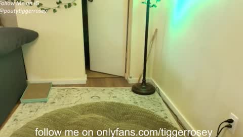 Snapshot of tiggerrosey chatting on April 21, 6:01 pm All my Links online show from April 21, 6:01 pm