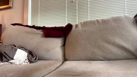 Snapshot of time4fun8837 chatting on February 15, 7:32 pm time4fun8837 online show from February 15, 7:32 pm