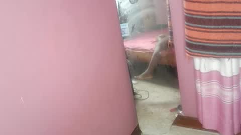 tin_love1 online show from February 18, 7:04 am