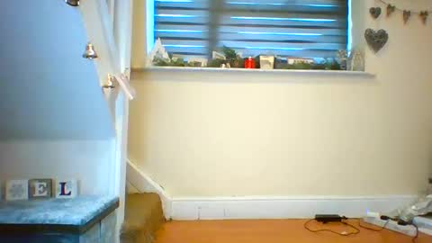 Tinyasian911718 sweetinyasian instagram online show from December 18, 1:34 pm