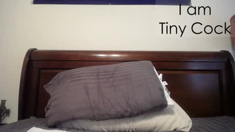 Snapshot of tinycock_1979 chatting on February 20, 2:35 pm tinycock_1979 online show from February 20, 2:35 pm