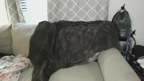 tittee mcgee online show from September 19, 6:41 pm