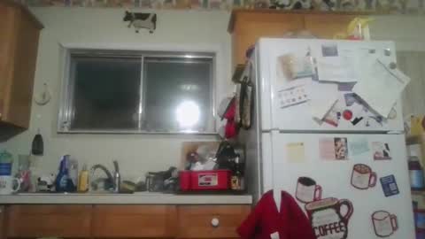 Snapshot of tiusflow chatting on November 9, 11:19 am tiusflow online show from November 9, 11:19 am