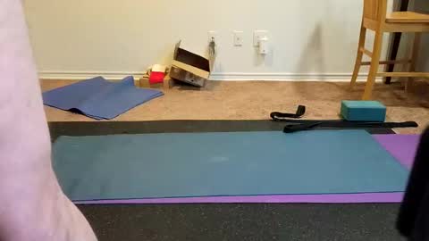 Snapshot of tjstanley1 chatting on January 13, 6:16 pm Joe online show from January 13, 6:16 pm