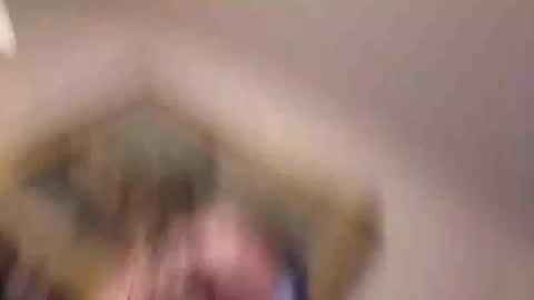 tmsvdc1 online show from December 25, 8:29 am