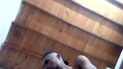 DESTROY.S online show from November 1, 5:20 am