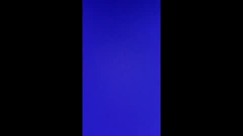 Vols online show from February 24, 2:58 pm