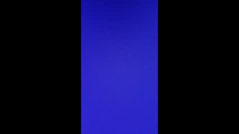 Vols online show from February 28, 11:47 am