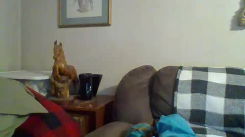 Vols online show from November 7, 12:10 am