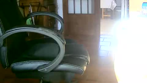 Snapshot of tobikoyuzu chatting on December 17, 3:17 pm Tobiko online show from December 17, 3:17 pm