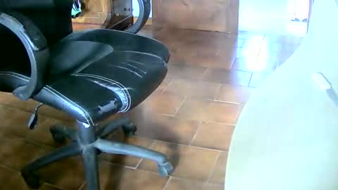 Tobiko online show from December 20, 2:24 pm