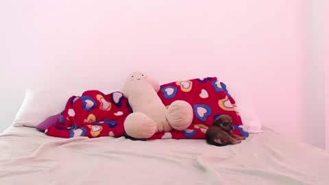 Adela y juan online show from December 2, 5:04 pm