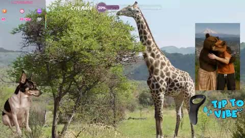 Snapshot of tomaz62a chatting on October 30, 8:42 pm Tomaz62a online show from October 30, 8:42 pm