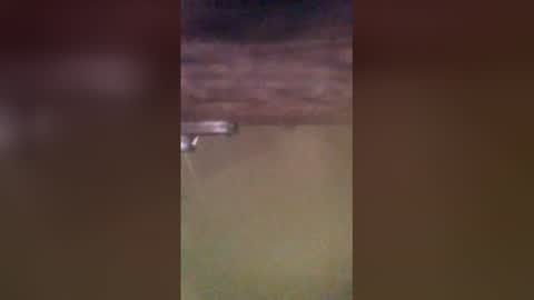 Snapshot of tomcop11111 chatting on March 29, 9:20 am tomcop11111 online show from March 29, 9:20 am