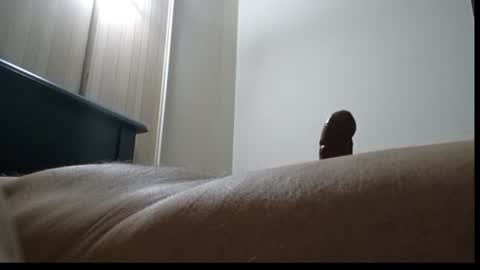 tommylecock online show from January 24, 1:36 pm