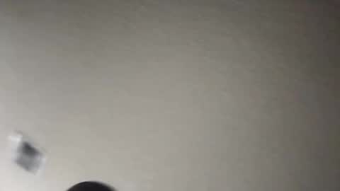 Snapshot of tomthebomb347 chatting on November 17, 12:16 am tomthebomb347 online show from November 17, 12:16 am