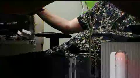 Snapshot of tontin69 chatting on March 31, 12:12 am tontin69 online show from March 31, 12:12 am