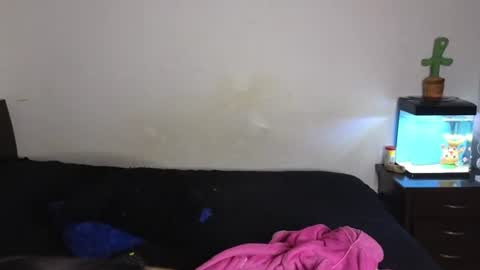 Snapshot of tony_and_sophia chatting on July 7, 12:02 am Sophia Tony online show from July 7, 12:02 am