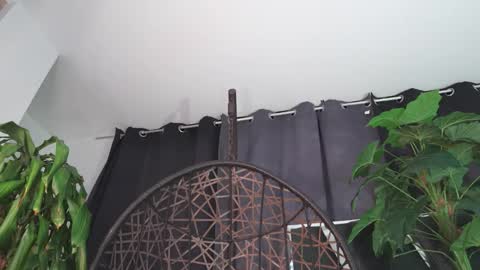 tony online show from February 12, 12:16 am