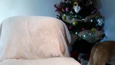 Enzo Moretti online show from November 28, 1:52 am