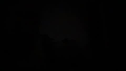 torofermo705033 online show from November 10, 3:38 am