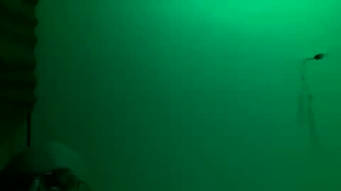 MisterXxX online show from November 23, 3:17 am