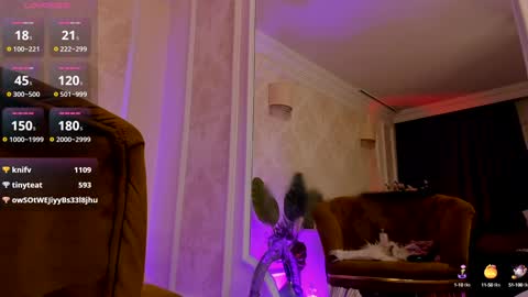Snapshot of torri_kitten chatting on December 29, 8:33 am torri kitten online show from December 29, 8:33 am