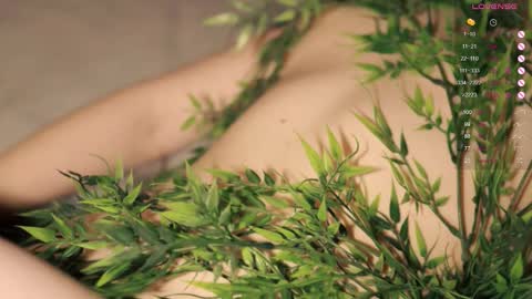 Toshi online show from October 20, 1:00 pm