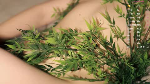 Toshi online show from December 1, 1:05 pm