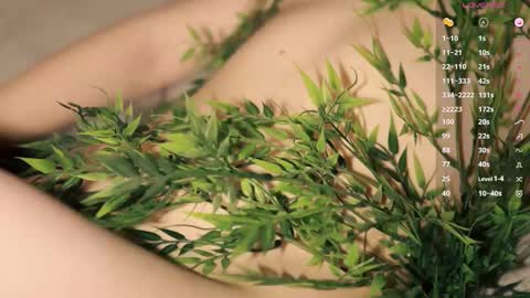 Toshi online show from January 16, 1:04 pm