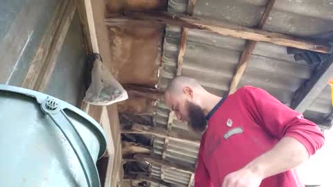 Tralalabala online show from March 5, 12:01 pm