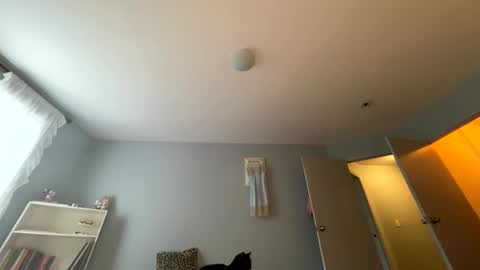 transgirl007 online show from May 24, 10:04 pm