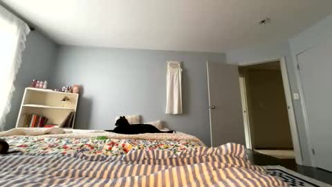 transgirl007 online show from May 30, 9:12 pm