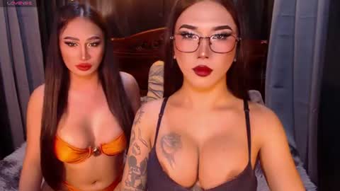 transpornidol online show from July 19, 5:00 am