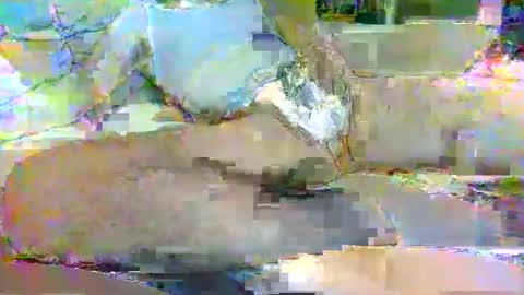 tree33007 online show from November 3, 6:25 am