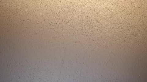 Snapshot of treedude303720 chatting on October 16, 9:43 am treedude303720 online show from October 16, 9:43 am