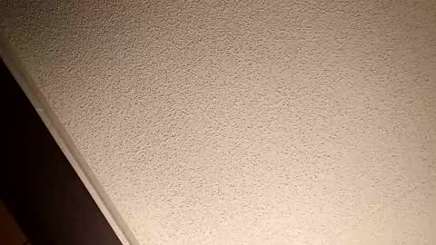 Snapshot of treedude303720 chatting on October 20, 10:54 pm treedude303720 online show from October 20, 10:54 pm