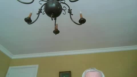 trekbeestje online show from June 2, 7:43 am
