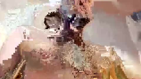 Snapshot of trex23rd chatting on December 2, 9:47 am trex23rd online show from December 2, 9:47 am