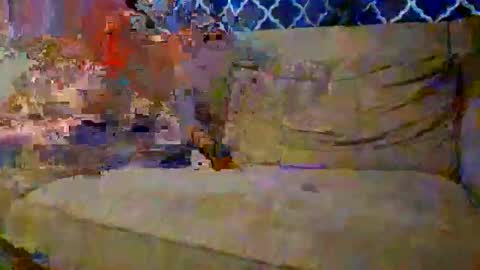 Snapshot of trex23rd chatting on December 2, 9:54 pm trex23rd online show from December 2, 9:54 pm