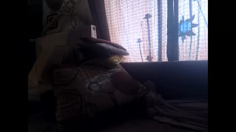 Snapshot of tribbley chatting on January 12, 10:34 am Tribbley online show from January 12, 10:34 am