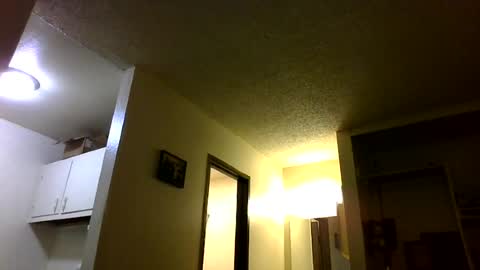 trickydick6 online show from June 14, 2:41 pm
