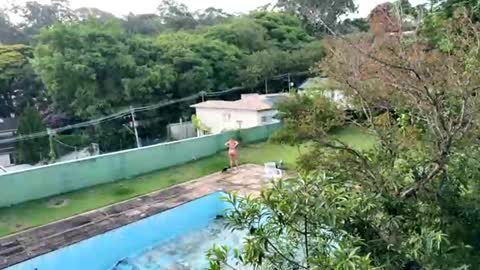 Snapshot of trigood chatting on November 28, 9:17 pm trigood online show from November 28, 9:17 pm