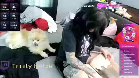 Trin Kat pet online show from September 26, 8:02 pm