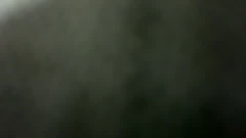 tripit1 online show from December 21, 8:43 am