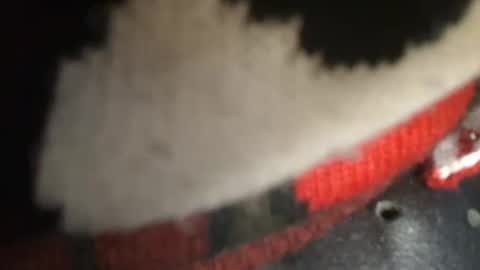 trobelle online show from December 26, 1:43 pm